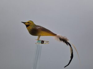 Zaunammer, Naturfedern